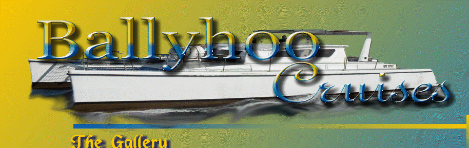 ballyhoo1009027.gif