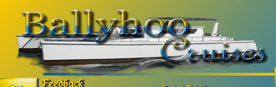 ballyhoo1012010.gif