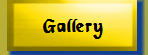 ballyhoo1012024.gif